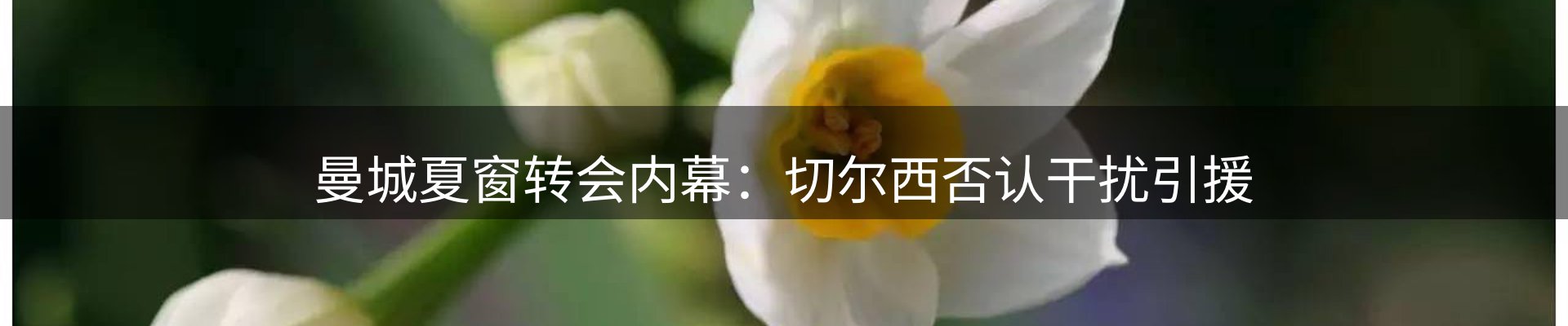 动态窗口
